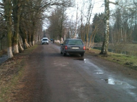 Як дбають про чисте повітря у парку Лесі Українки